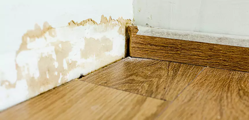 Professional Fix Water Damaged Wood Services in Commerce City, CO